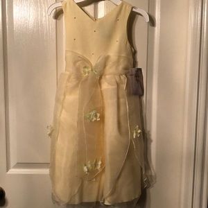 NWT Girls Sz 6X Sweet Heart Rose Dress